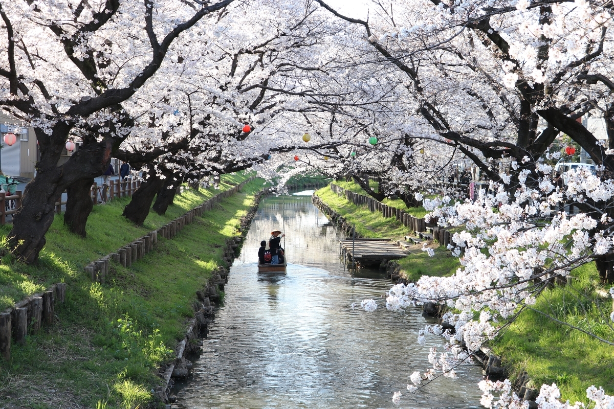 f:id:camerangz:20190406023134j:plain