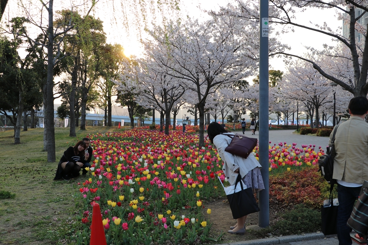 f:id:camerangz:20190411000033j:plain