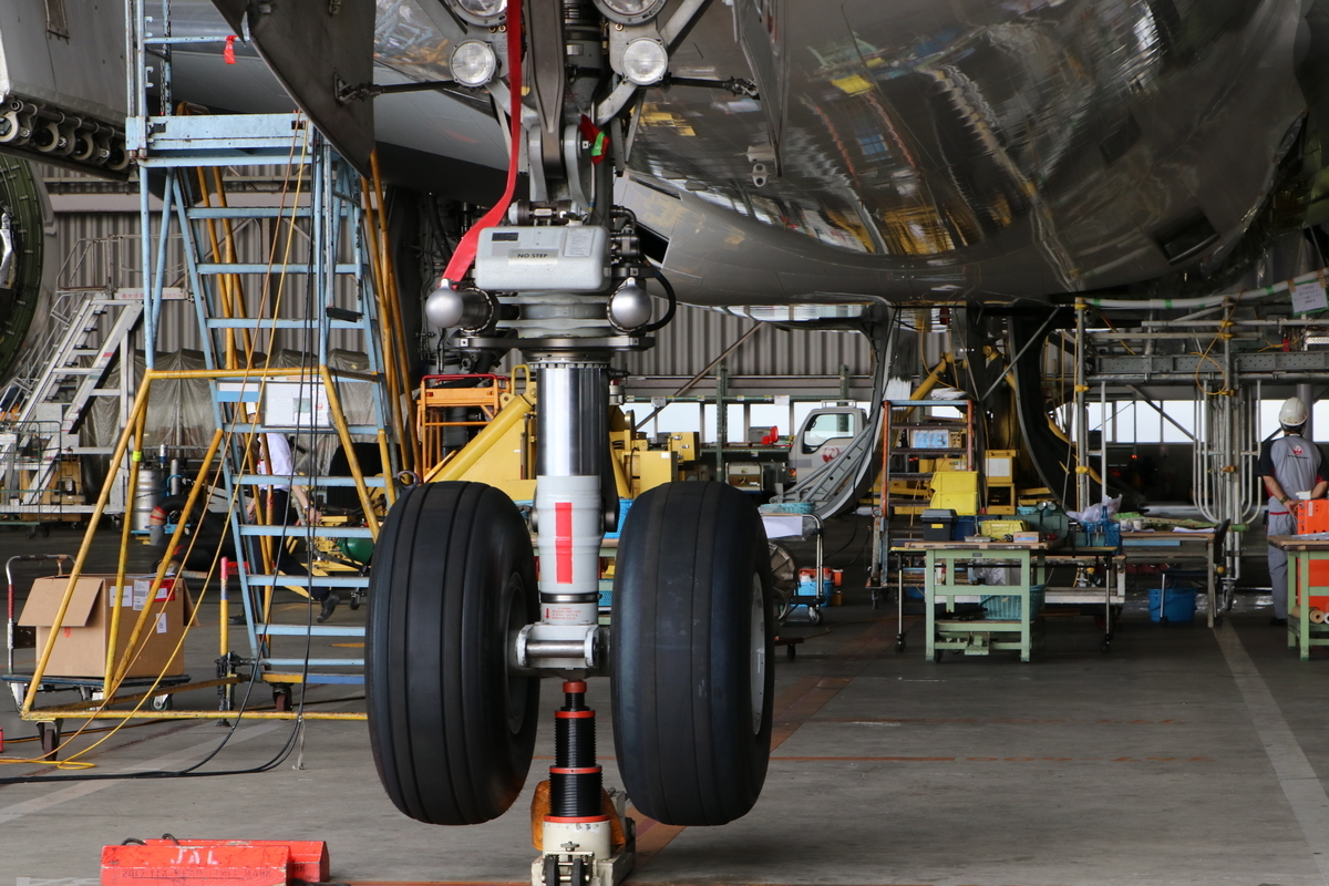 f:id:camerangz:20190526032240j:plain