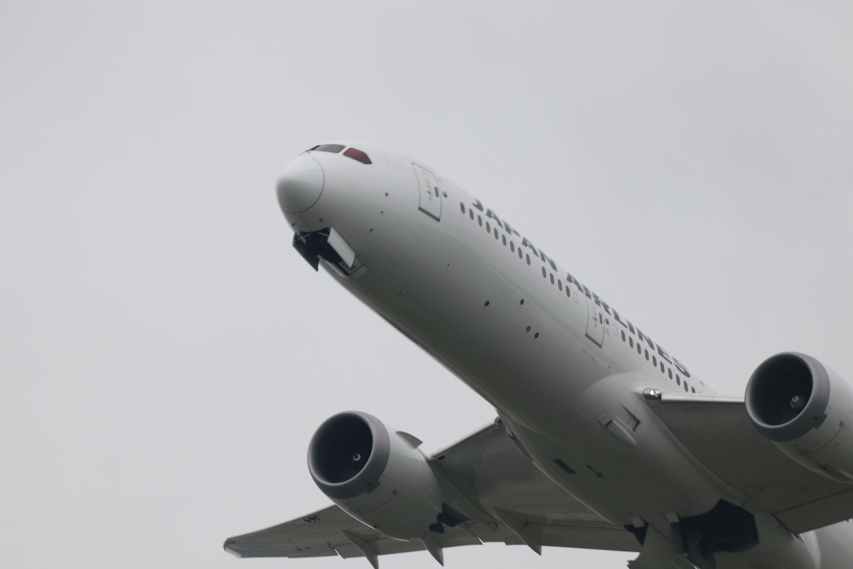 f:id:camerangz:20190906210448j:plain