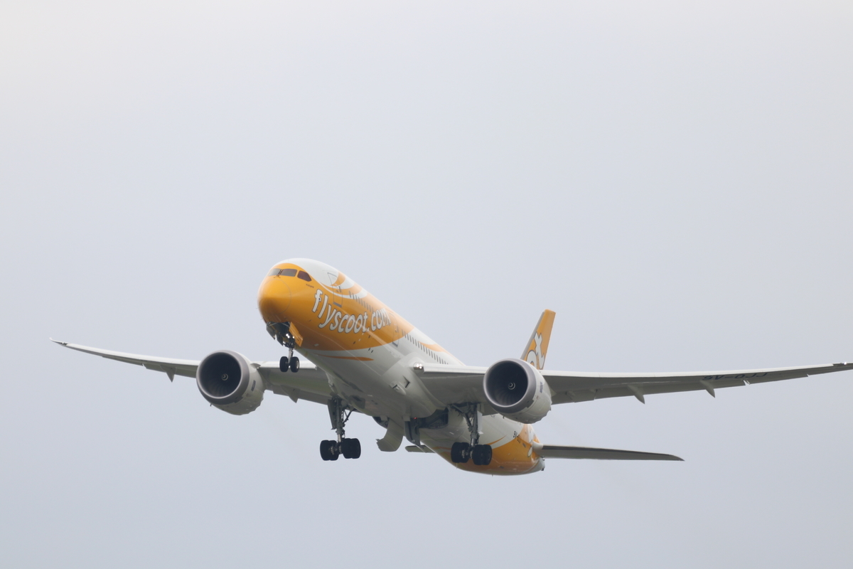 f:id:camerangz:20190906213326j:plain