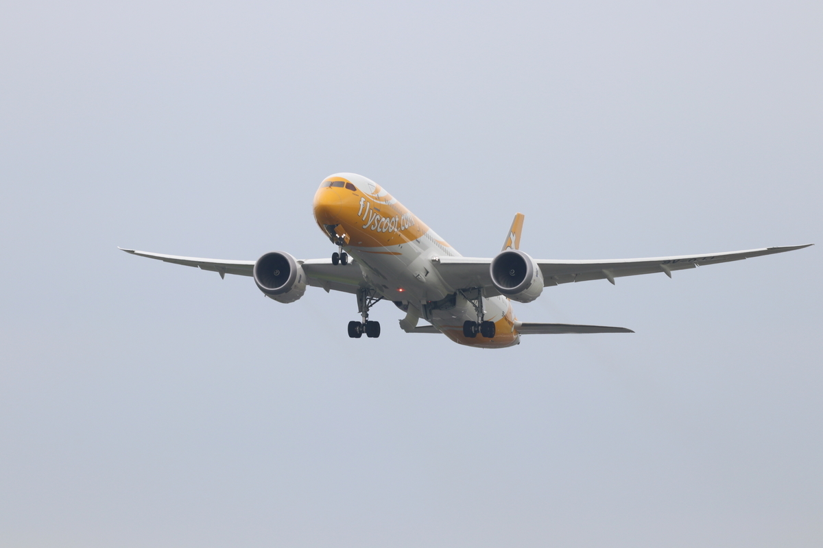 f:id:camerangz:20190906213344j:plain