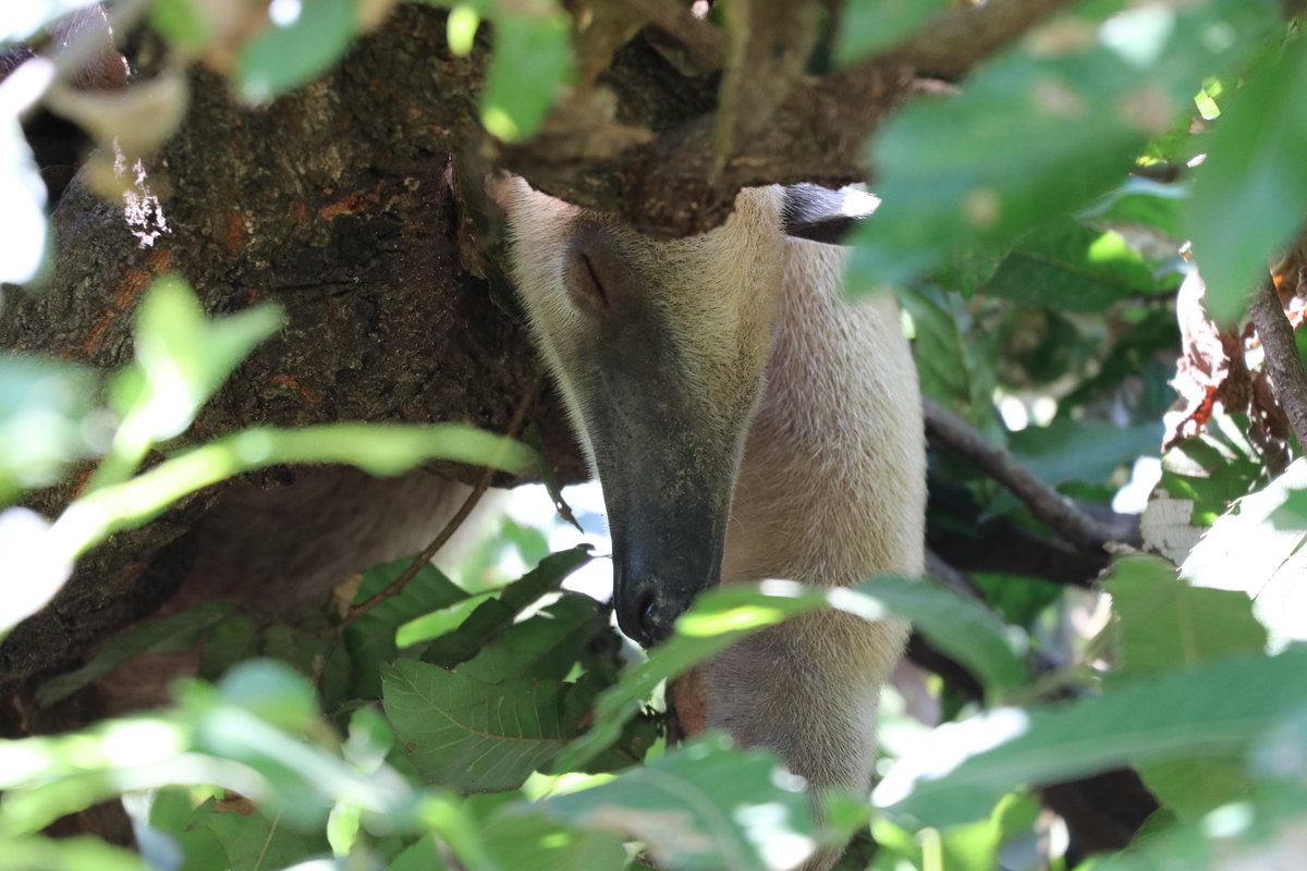 f:id:camerangz:20190928005445j:plain