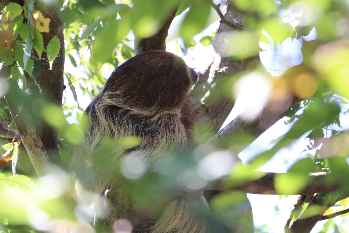 f:id:camerangz:20190928005704j:plain