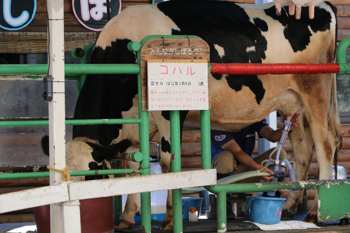 f:id:camerangz:20190928010024j:plain