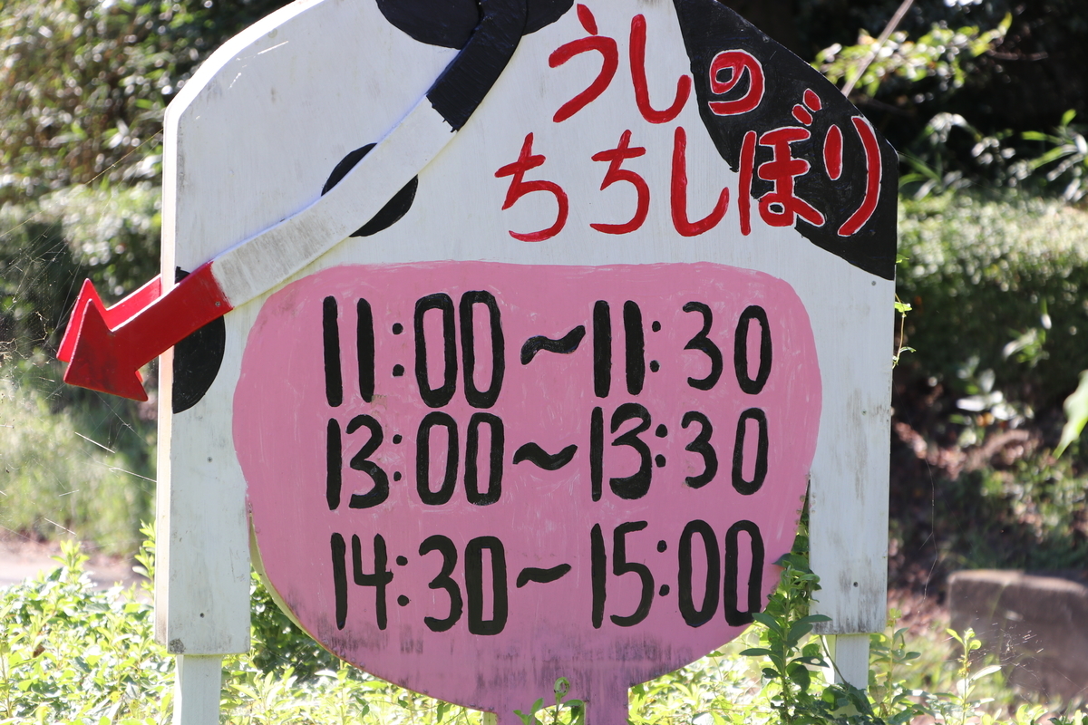 f:id:camerangz:20190928010203j:plain