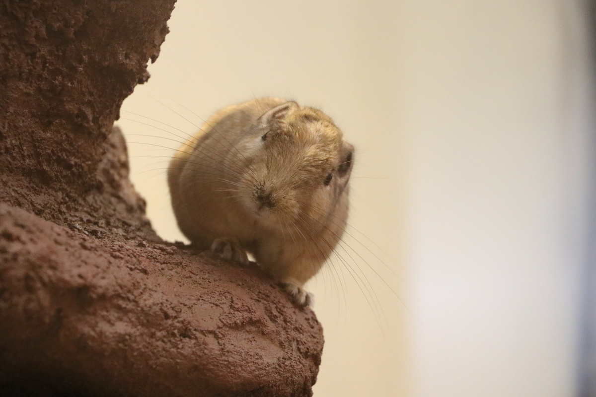 f:id:camerangz:20190928221645j:plain