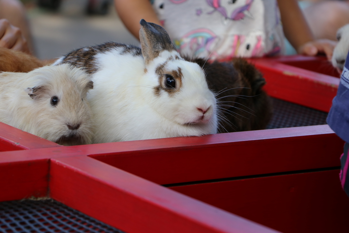 f:id:camerangz:20190929011557j:plain