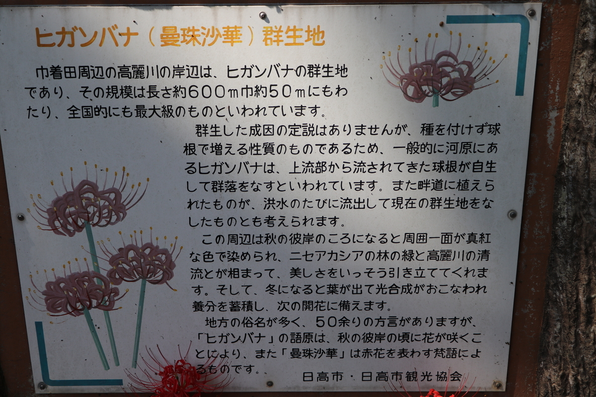 f:id:camerangz:20191002074835j:plain