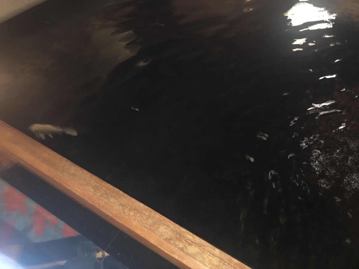 f:id:camerangz:20191105223324j:plain