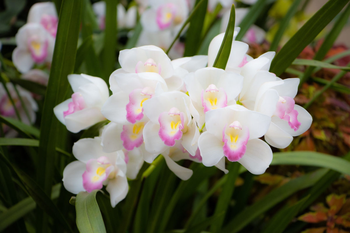 f:id:camerangz:20200226112631j:plain