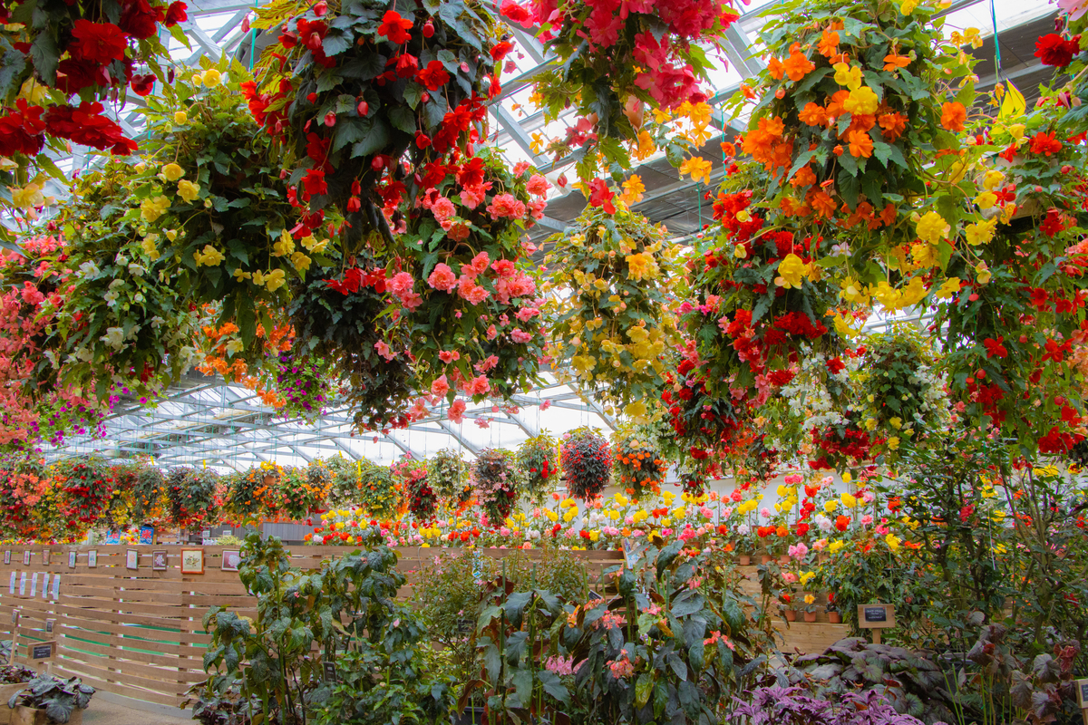 f:id:camerangz:20200226114828j:plain