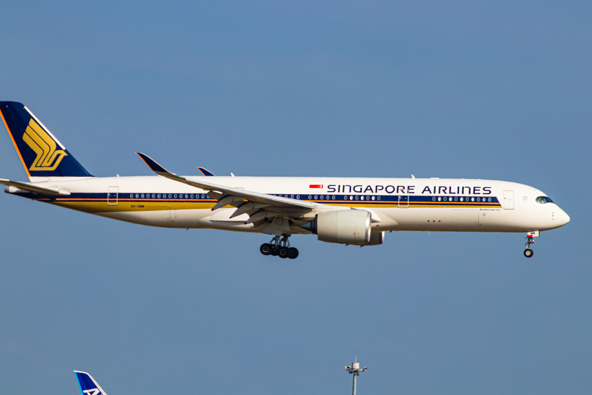 f:id:camerangz:20200504015134j:plain