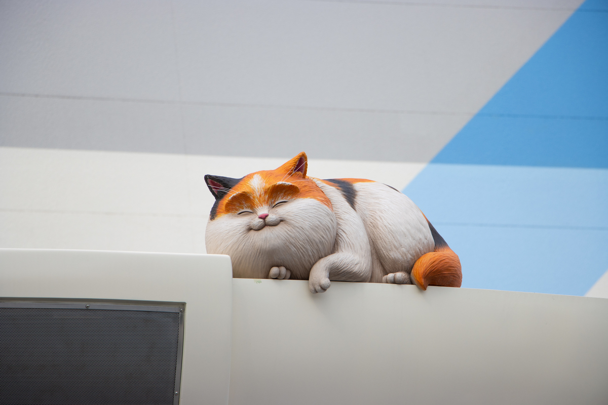 f:id:camerangz:20200725225814j:plain