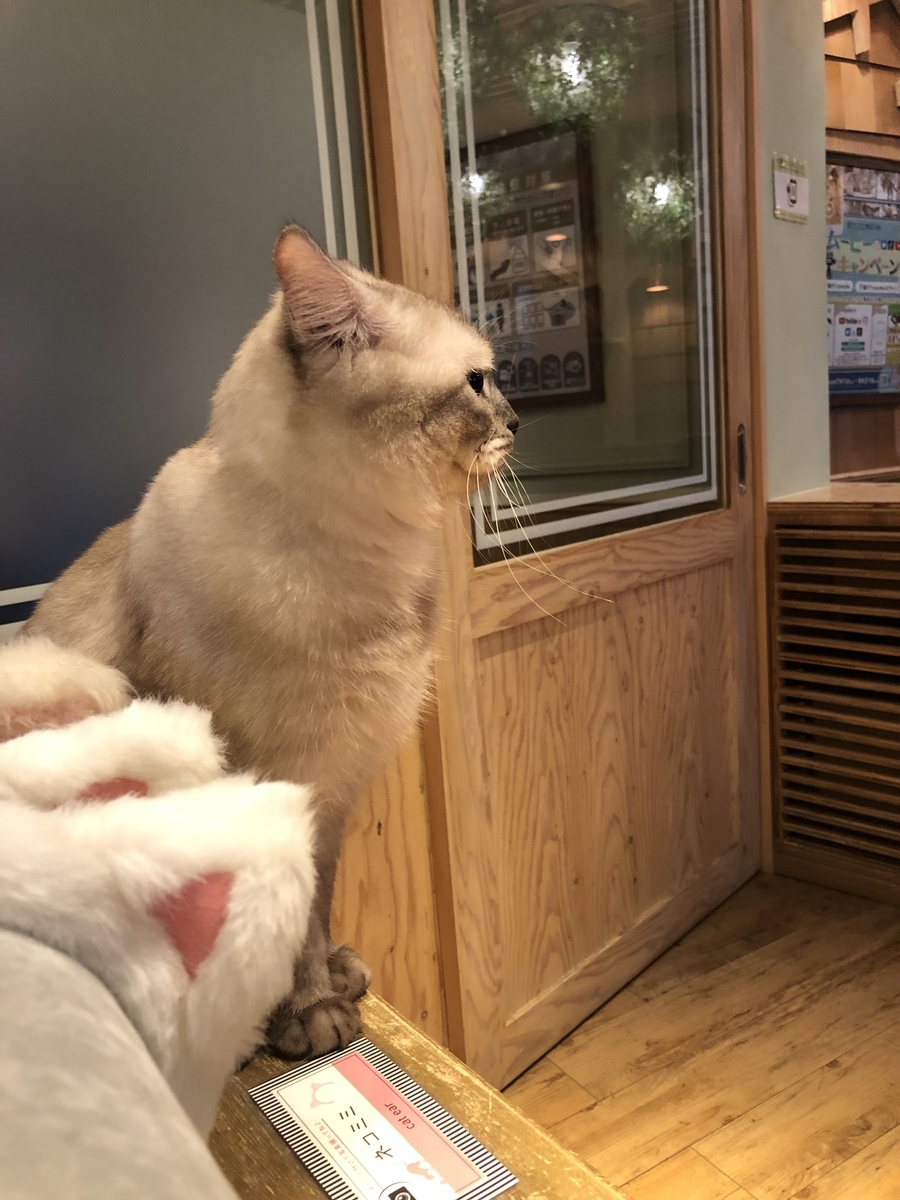 f:id:camerangz:20201002221919j:plain