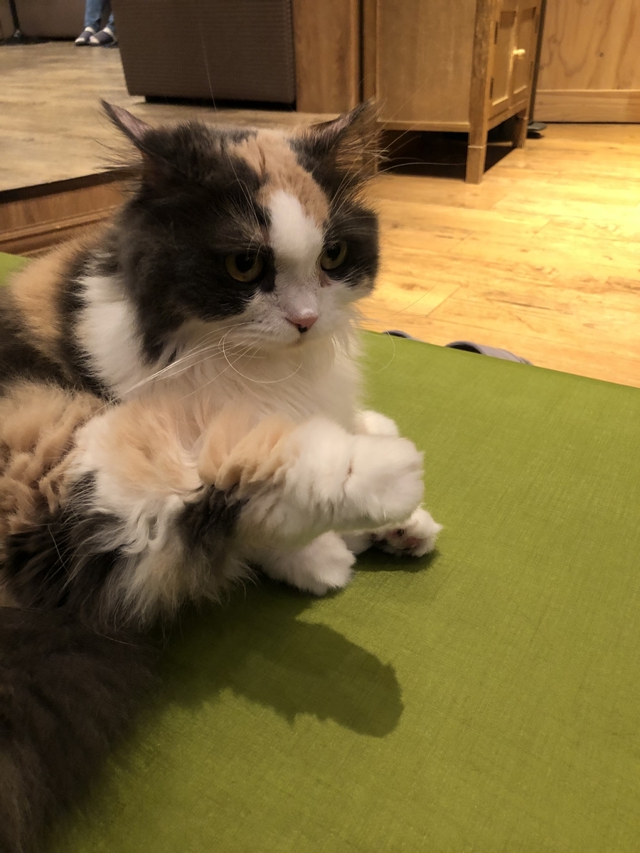 f:id:camerangz:20201002222019j:plain