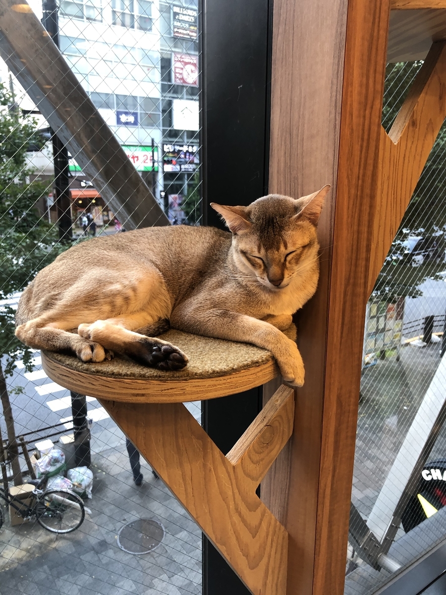 f:id:camerangz:20201002222402j:plain