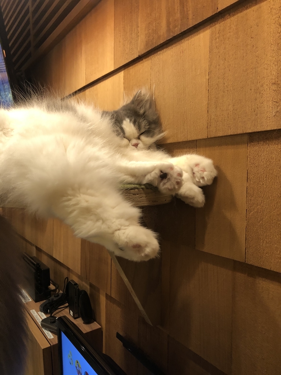 f:id:camerangz:20201002222410j:plain