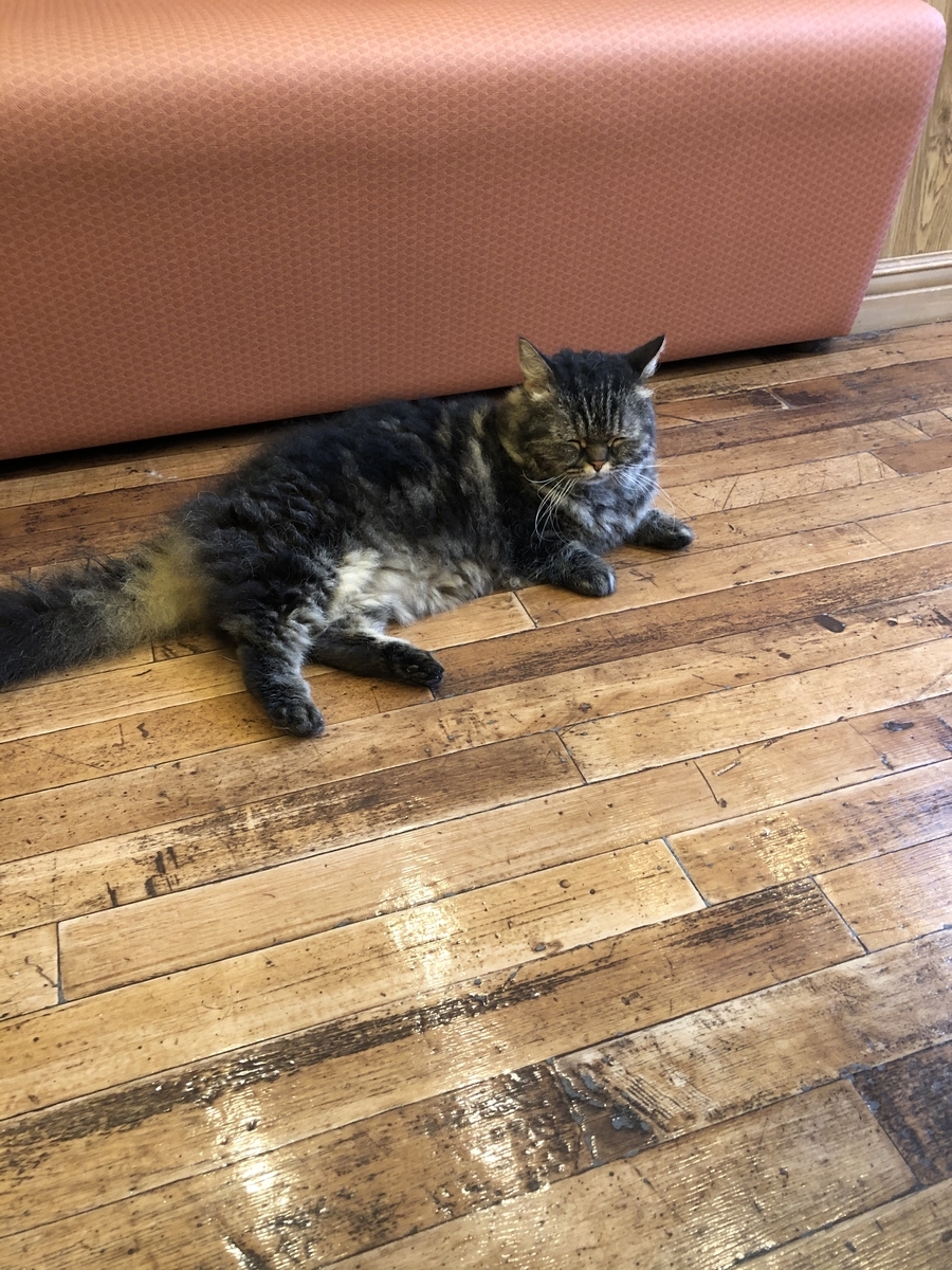 f:id:camerangz:20201002222417j:plain