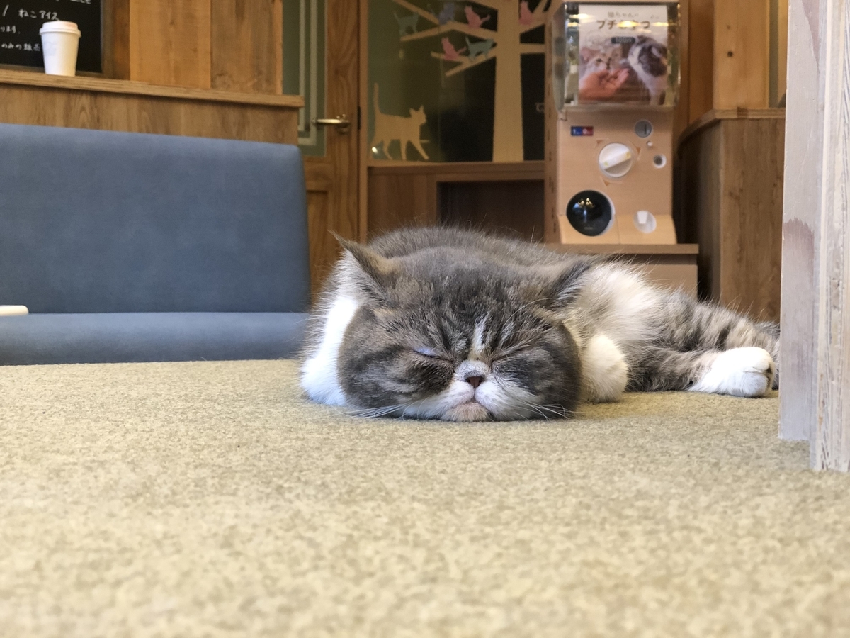 f:id:camerangz:20201002222443j:plain