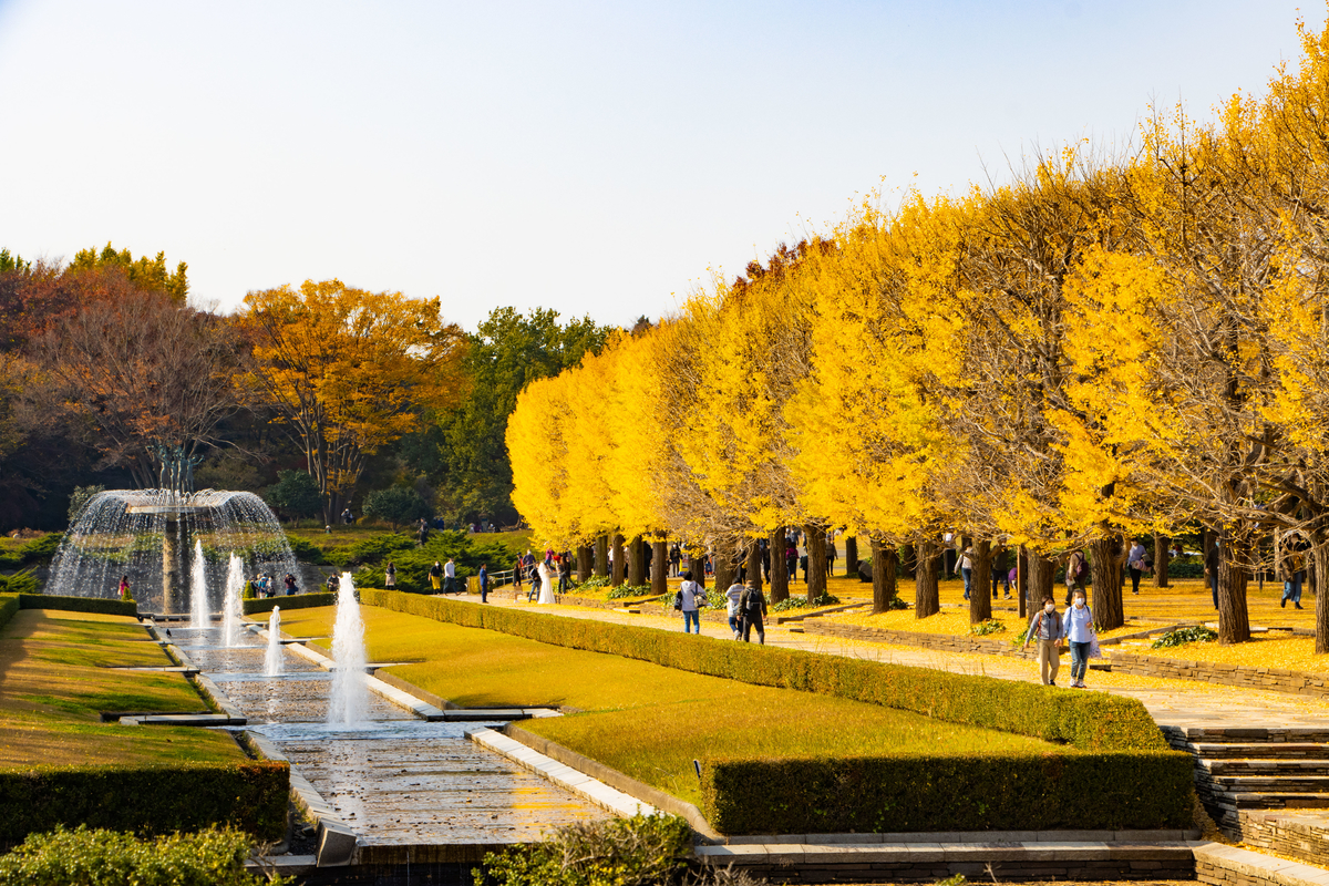 f:id:camerangz:20201120214529j:plain