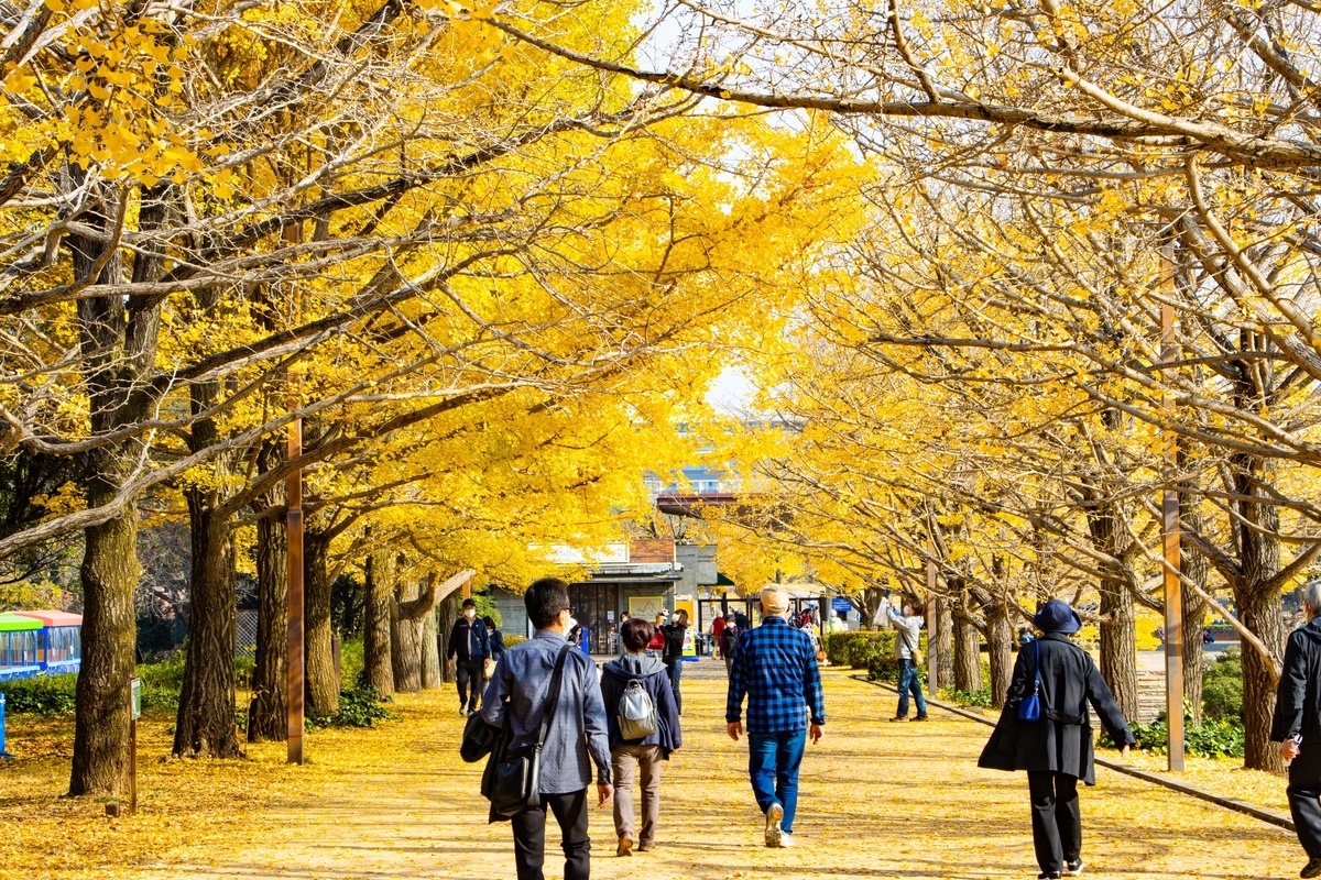 f:id:camerangz:20201120215514j:plain