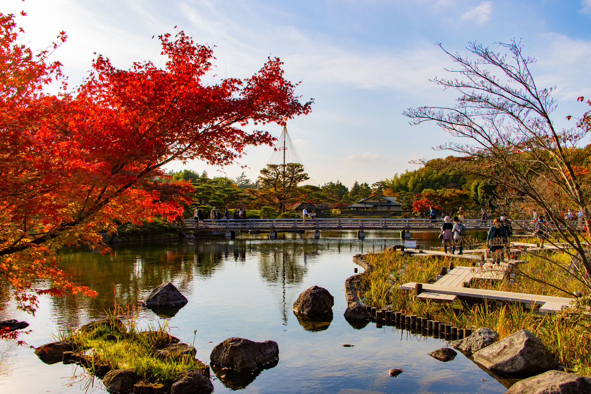 f:id:camerangz:20201120222554j:plain