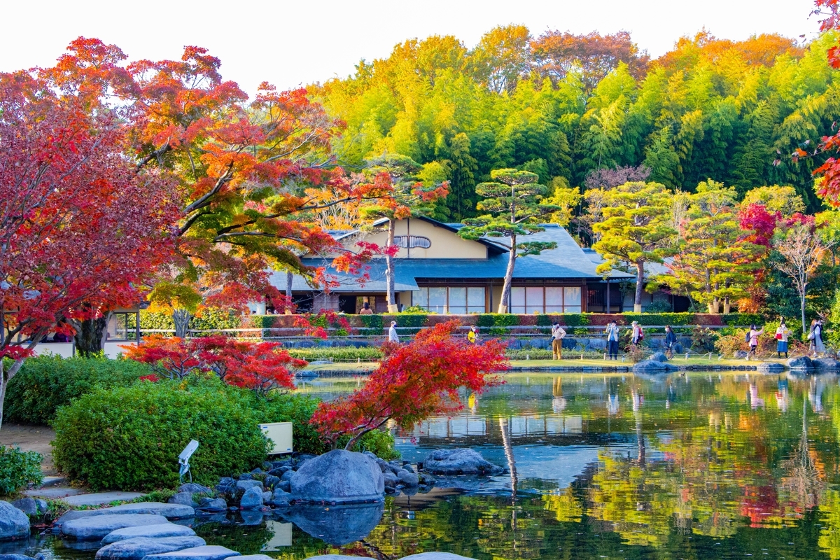 f:id:camerangz:20201120222918j:plain