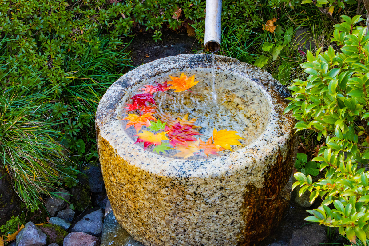 f:id:camerangz:20201120222925j:plain