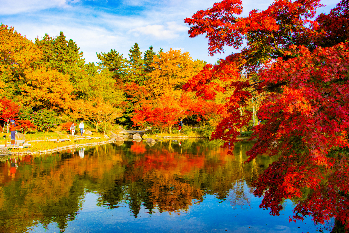 f:id:camerangz:20201120222949j:plain