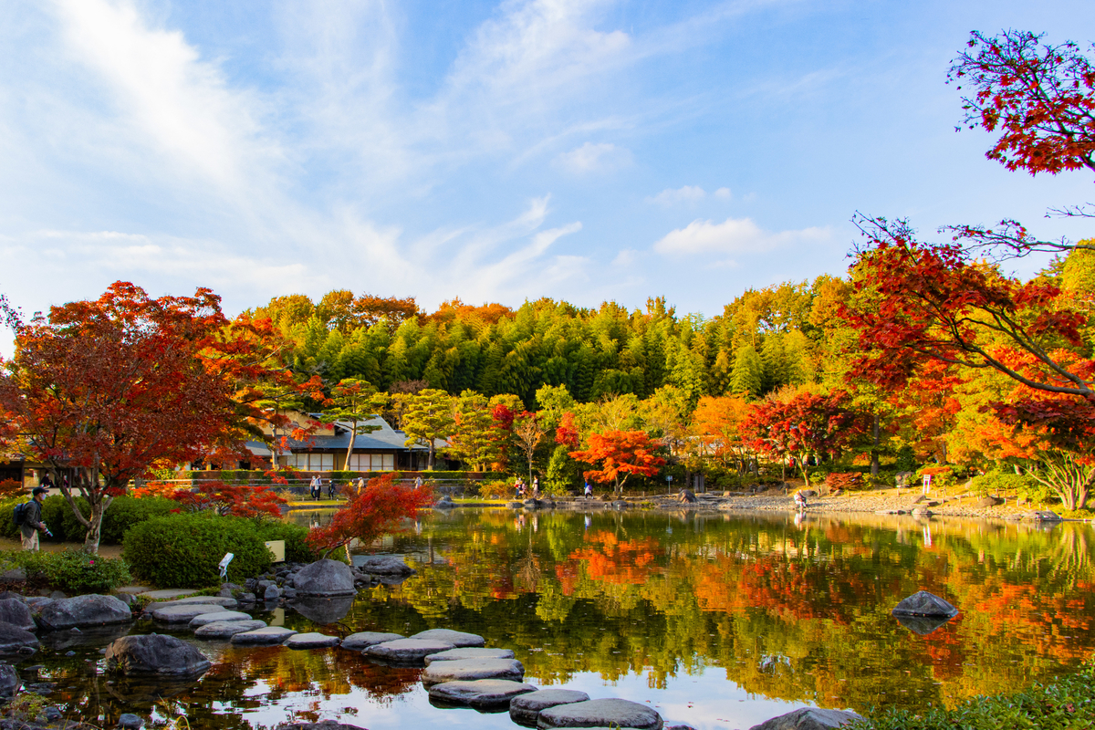 f:id:camerangz:20201120223006j:plain