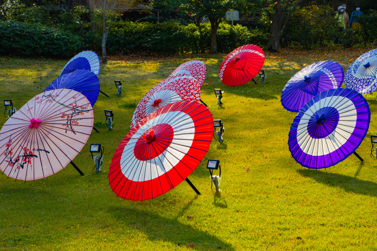 f:id:camerangz:20201120223237j:plain