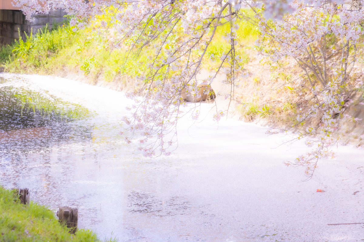 f:id:camerangz:20210407012750j:plain