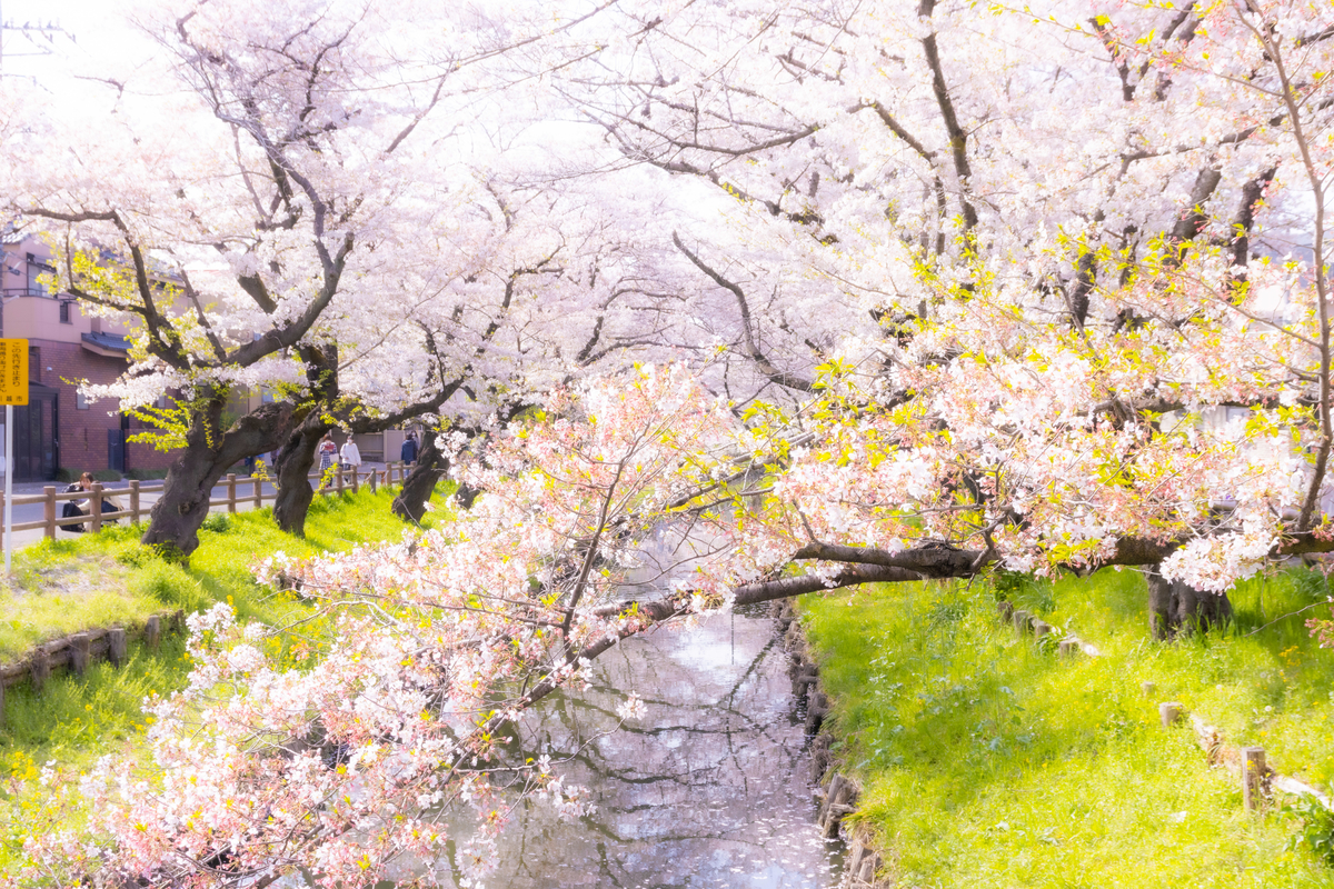 f:id:camerangz:20210407013748j:plain