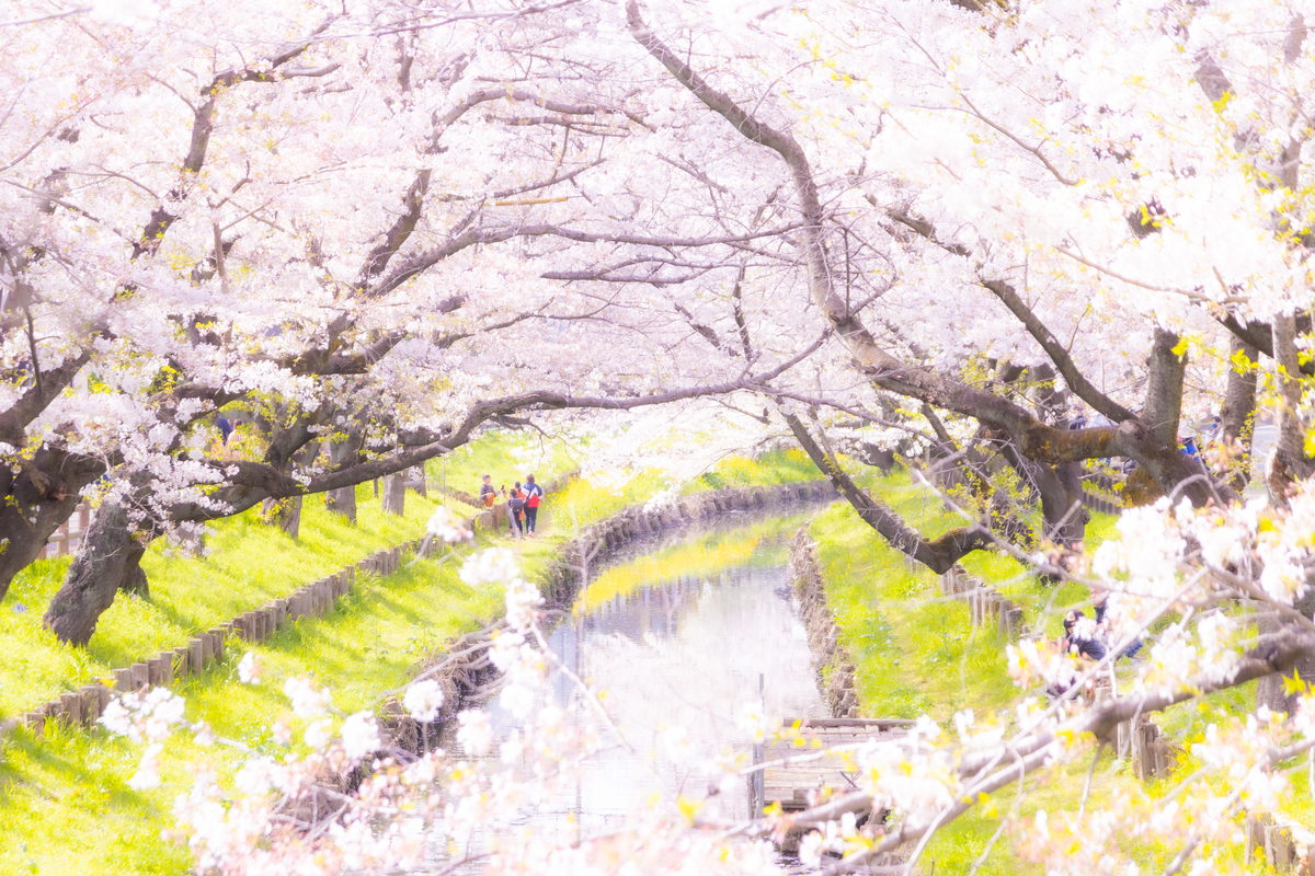 f:id:camerangz:20210407013749j:plain