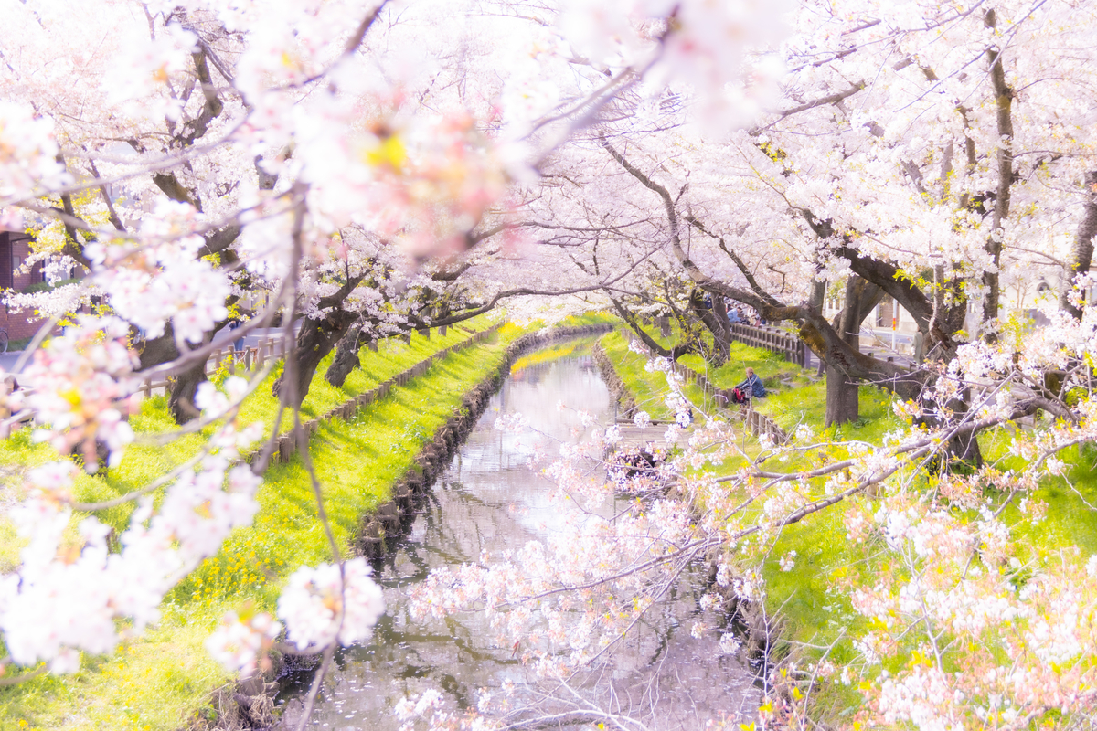 f:id:camerangz:20210407014531j:plain