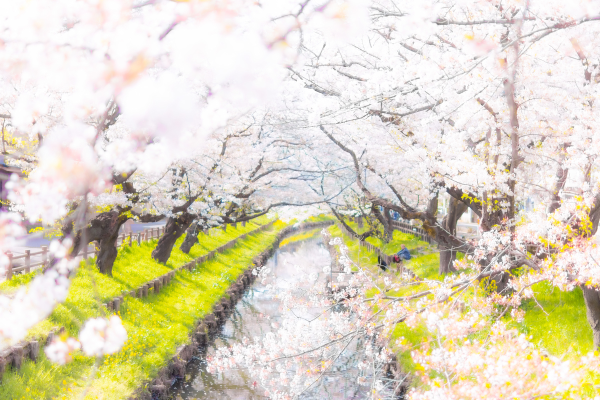 f:id:camerangz:20210407015109j:plain