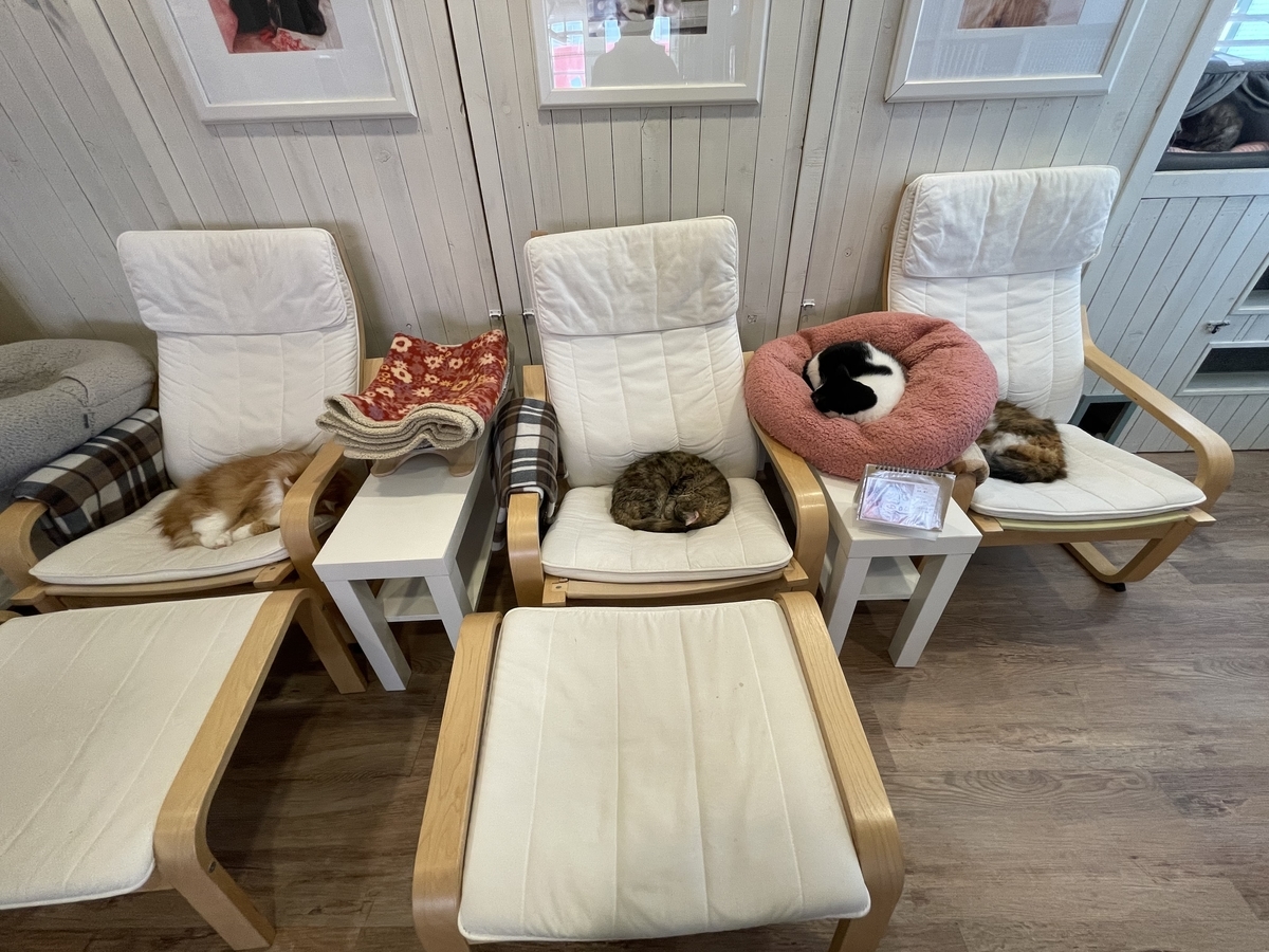 f:id:camerangz:20210420235946j:plain