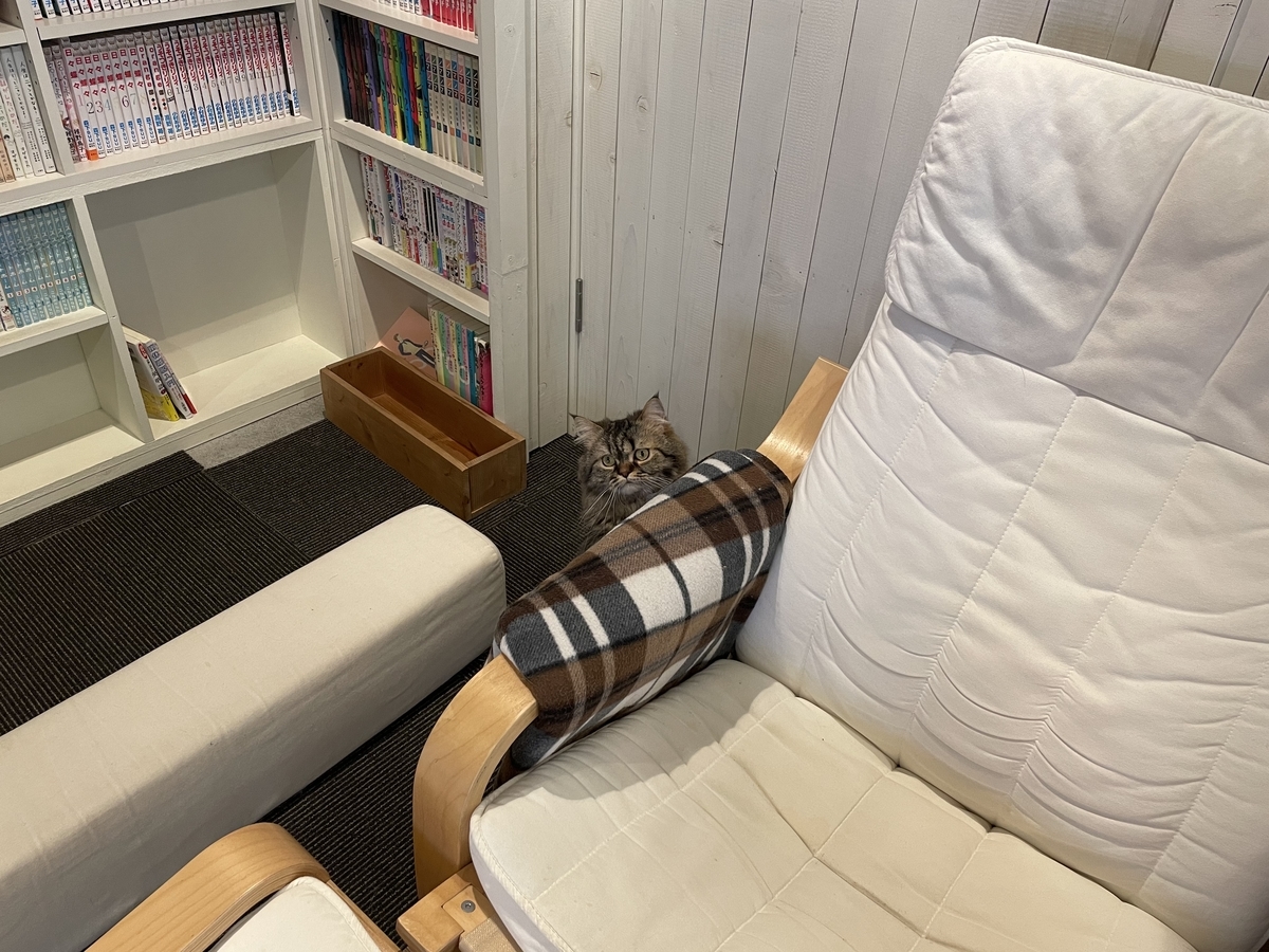 f:id:camerangz:20210421000626j:plain