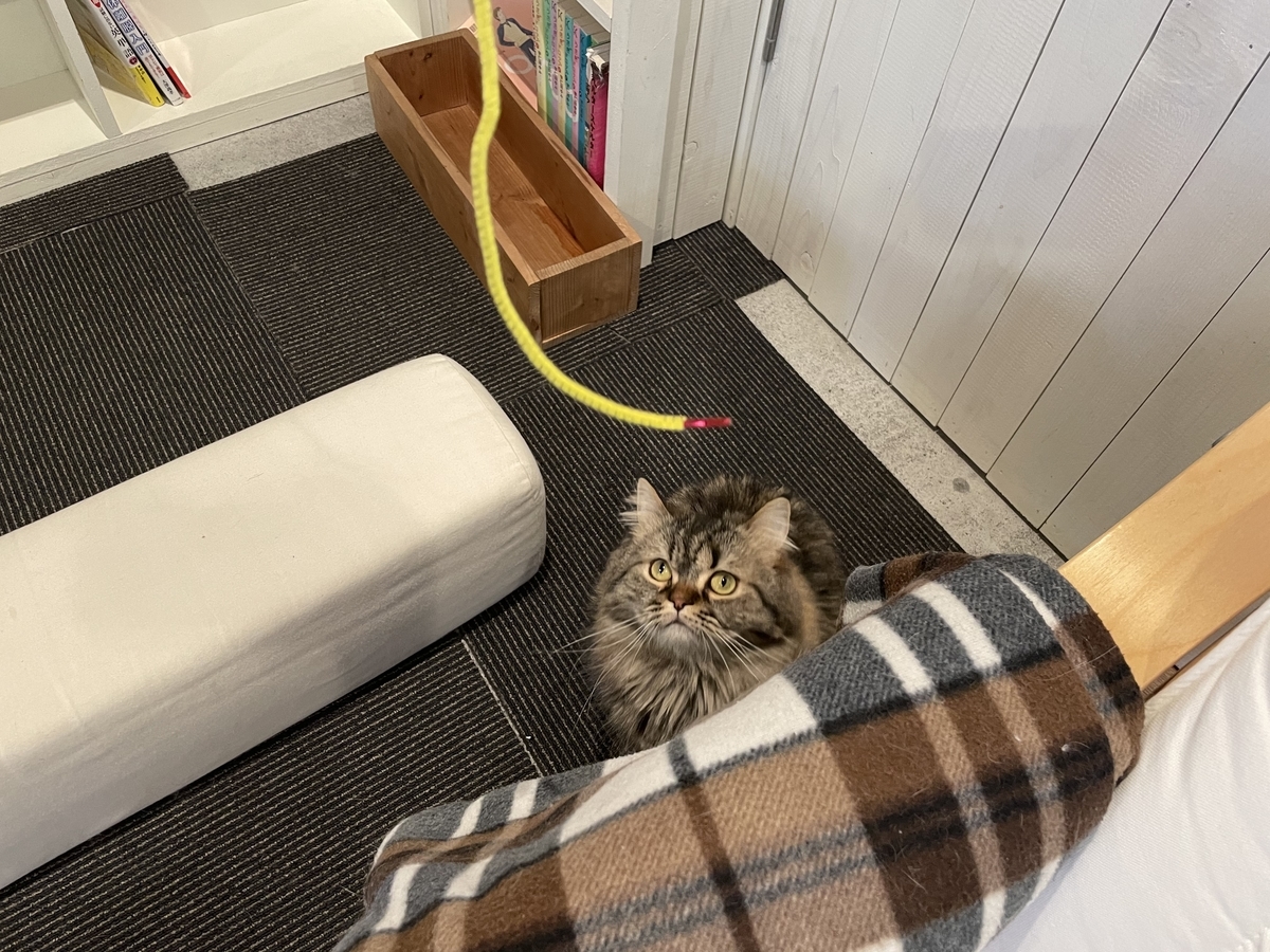 f:id:camerangz:20210421000641j:plain