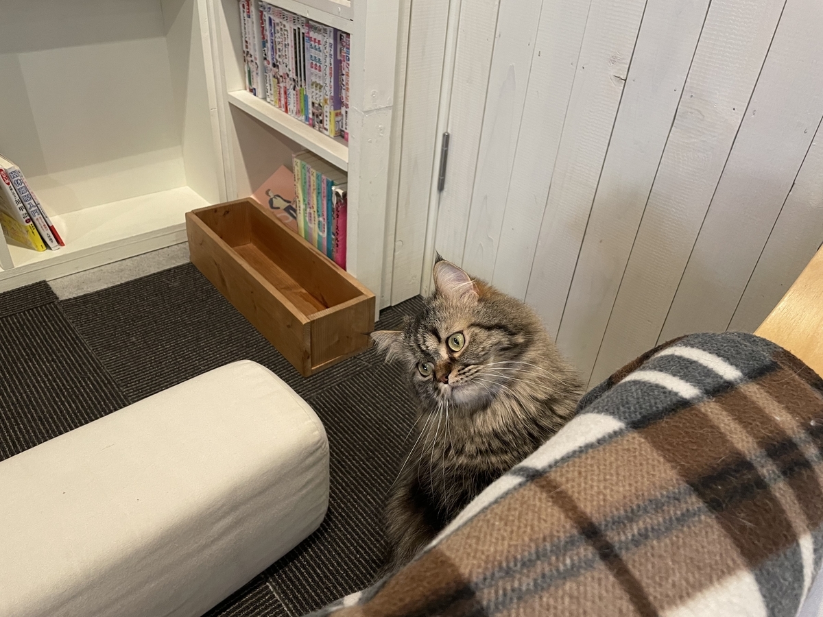 f:id:camerangz:20210421000648j:plain