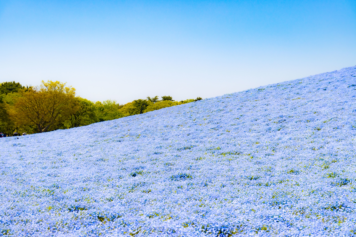 f:id:camerangz:20210423222819j:plain