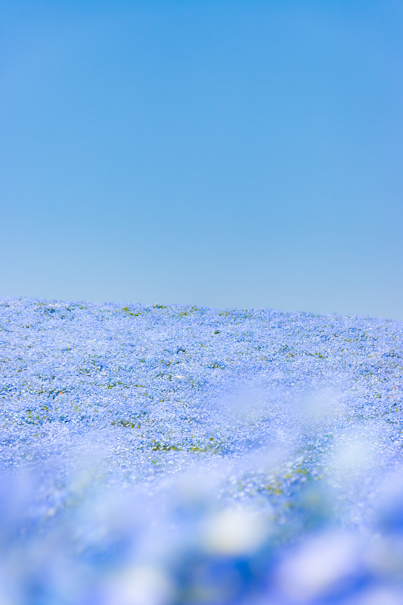 f:id:camerangz:20210423230432j:plain