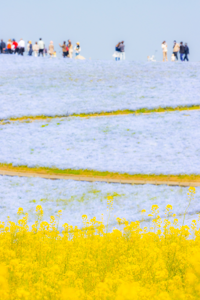 f:id:camerangz:20210423231304j:plain