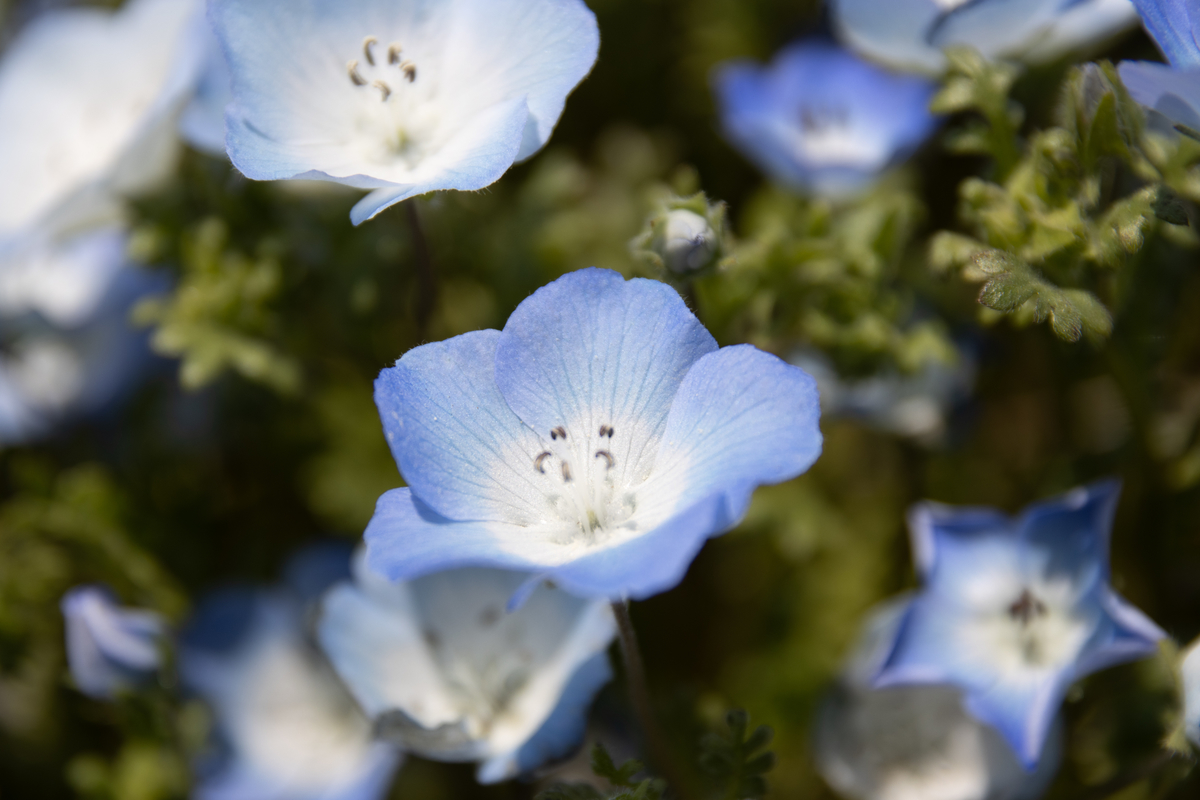 f:id:camerangz:20210827124817j:plain