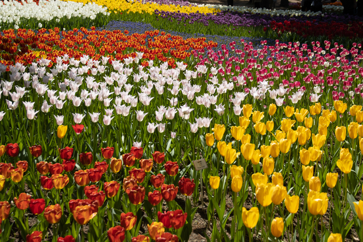 f:id:camerangz:20210827130250j:plain