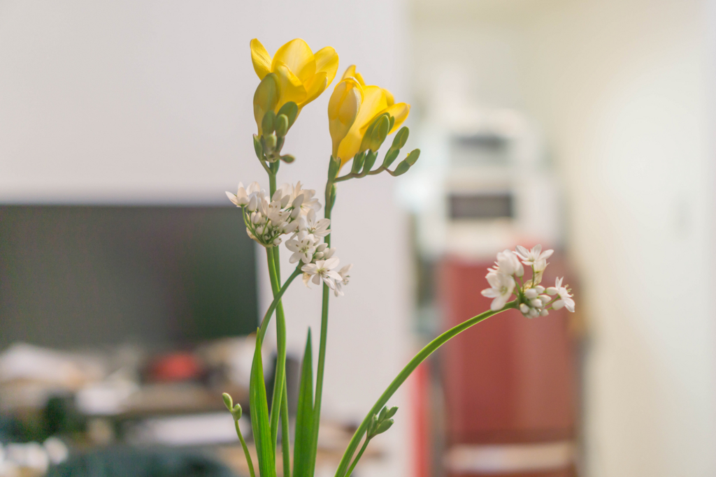 f:id:cameranolouise:20180219230319j:plain f:id:cameranolouise:20180219230319j:plain