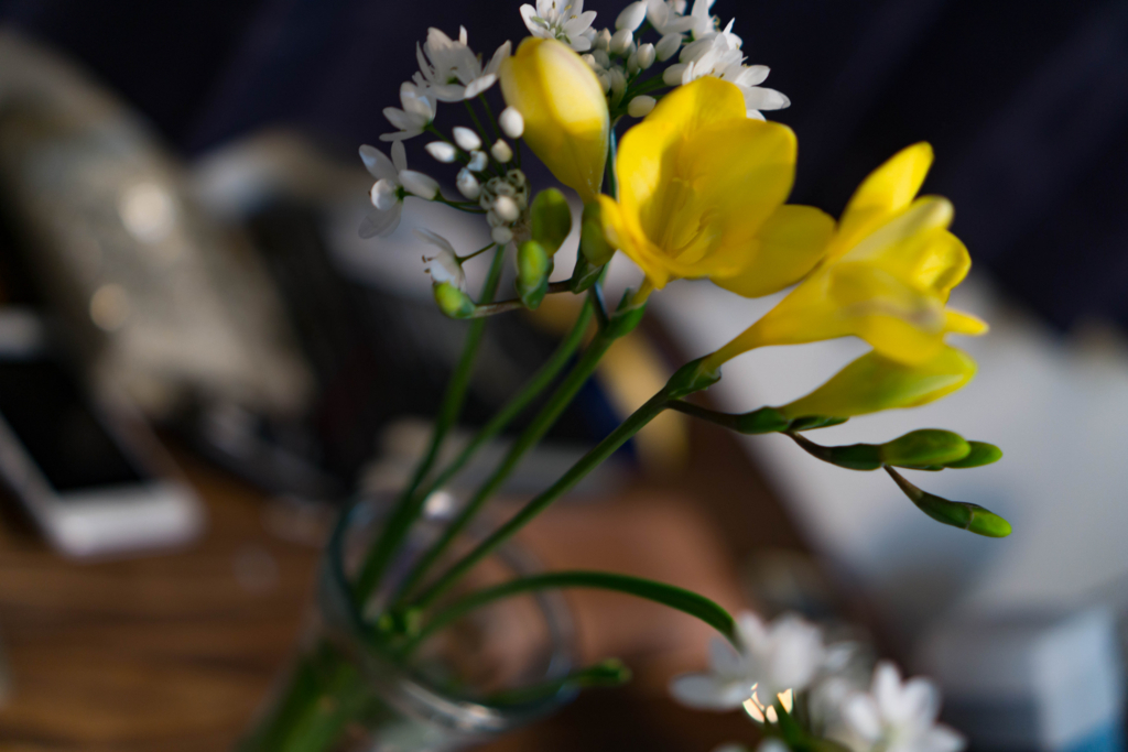 f:id:cameranolouise:20180219230330j:plain f:id:cameranolouise:20180219230330j:plain
