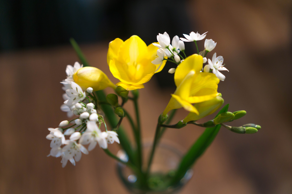 f:id:cameranolouise:20180219230336j:plain f:id:cameranolouise:20180219230336j:plain