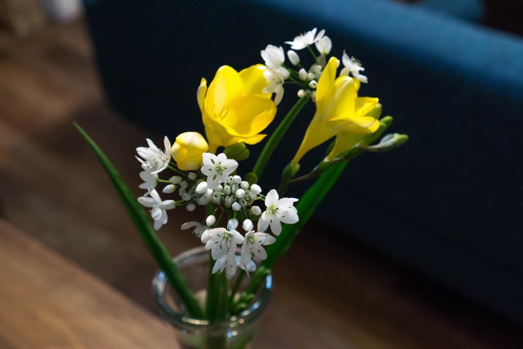 f:id:cameranolouise:20180219230340j:plain f:id:cameranolouise:20180219230340j:plain